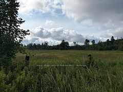 0 Old Muskoka to the West Side of #1105 Road, Huntsville, ON, exterior