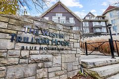 313 - 220 GORD CANNING Drive, Blue Mountains, ON, exterior