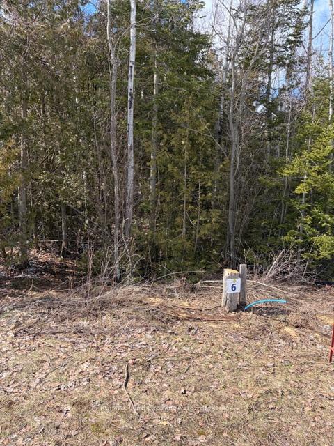 11 Lakeside Woods Crescent, Saugeen Shores, ON, exterior