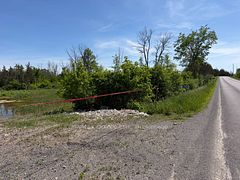 1792 Casey Road, Tyendinaga, ON, exterior