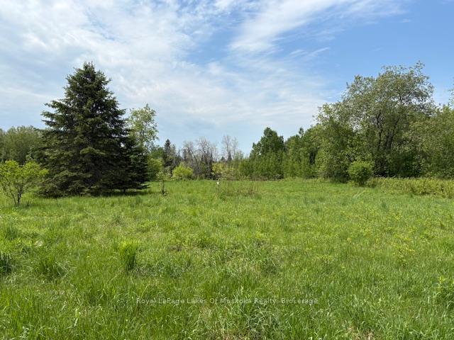 351 Ravenscliffe Road, Huntsville, ON, exterior