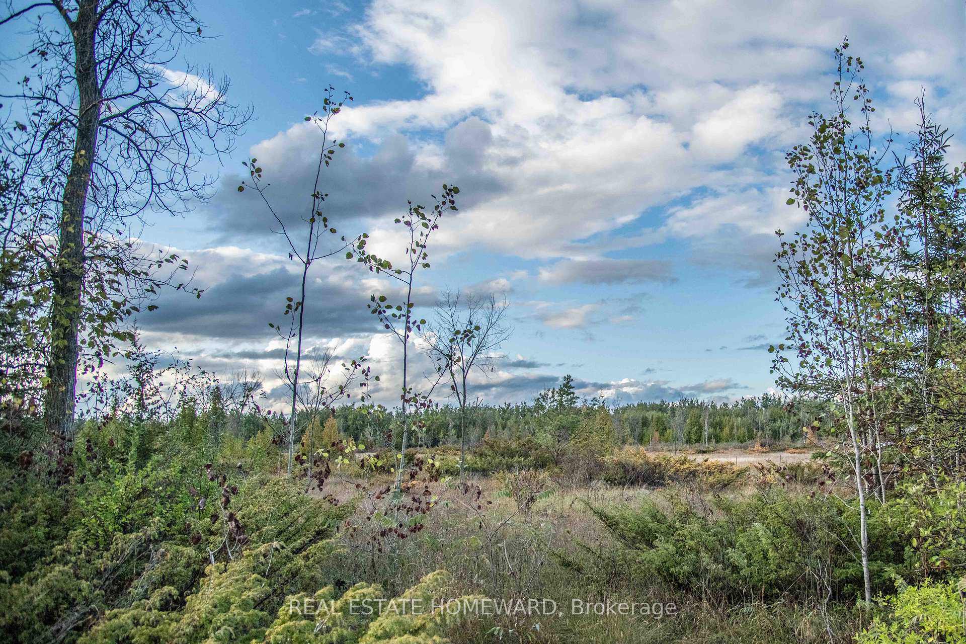 Lot 254 McGuire Beach Road, Kawartha Lakes, ON, exterior