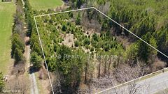 Pt Lot 4 Con 3 Shelter Valley Road, Alnwick/Haldimand, ON, exterior