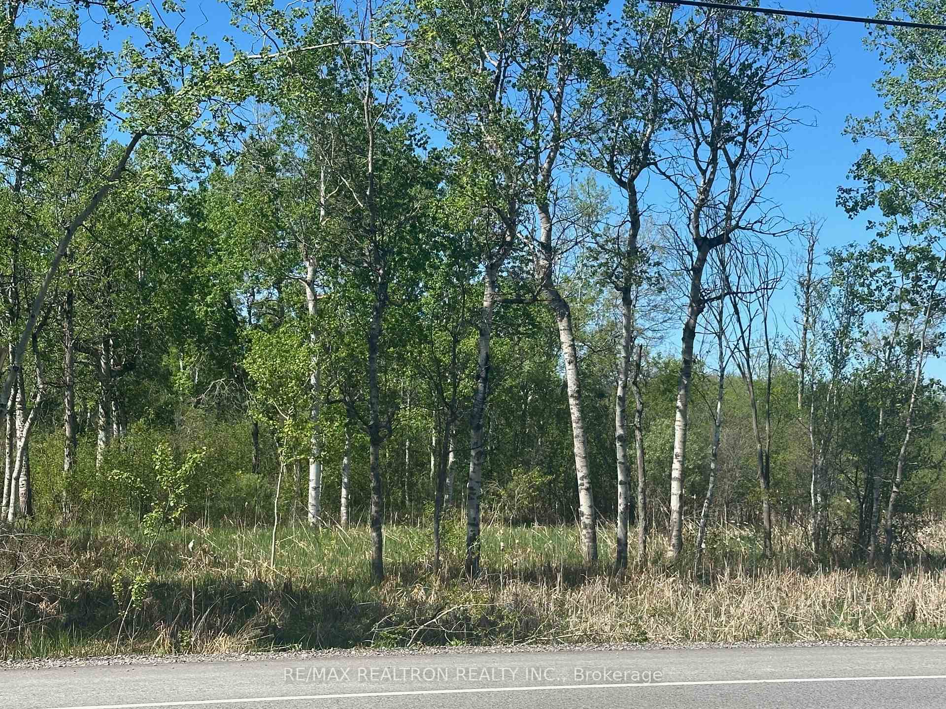 CON 7 PT LT 1 Ravenshoe Road, Georgina, ON, exterior