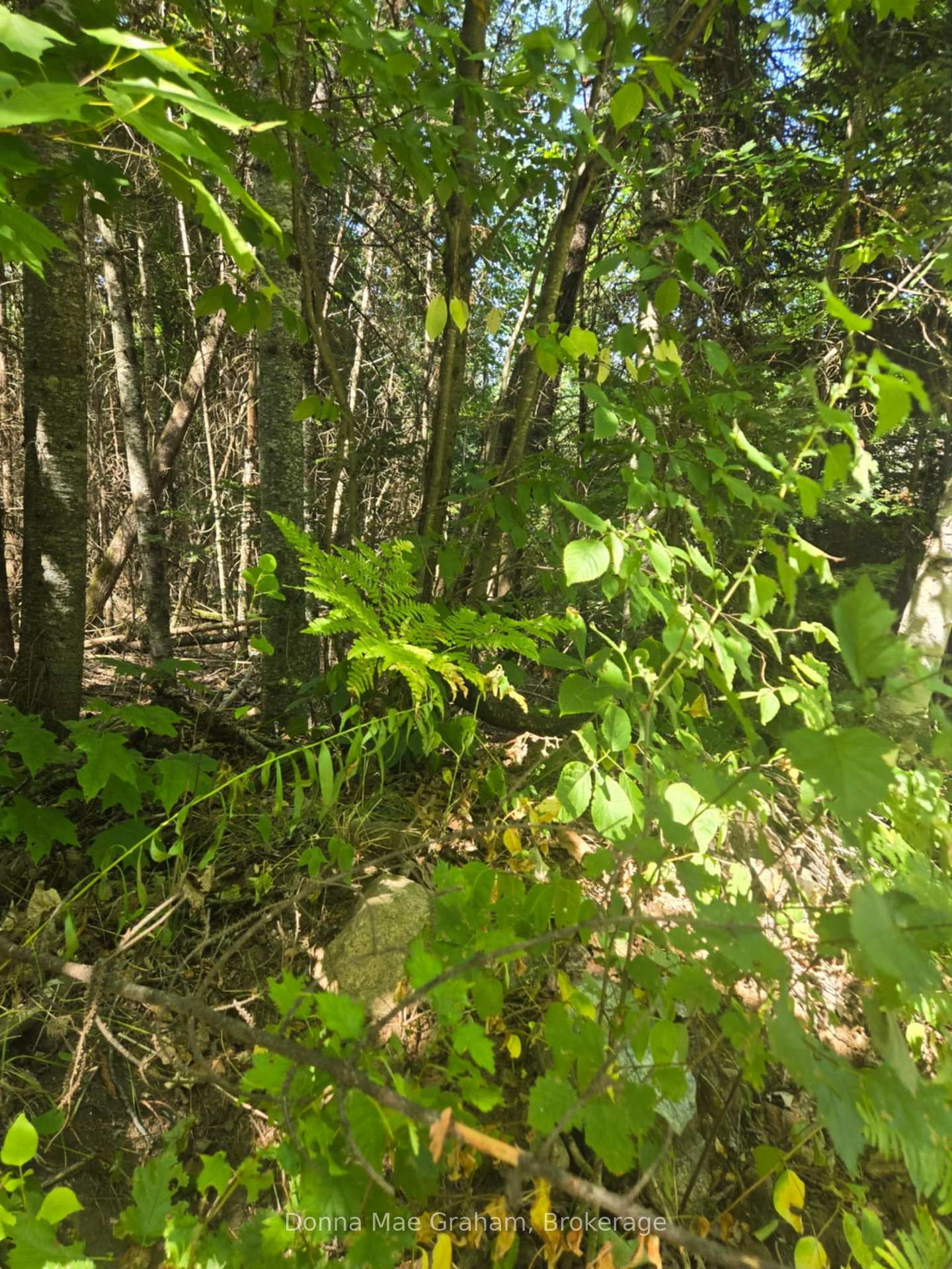 0 MacDuff Road Acres E, Highlands East, ON, exterior