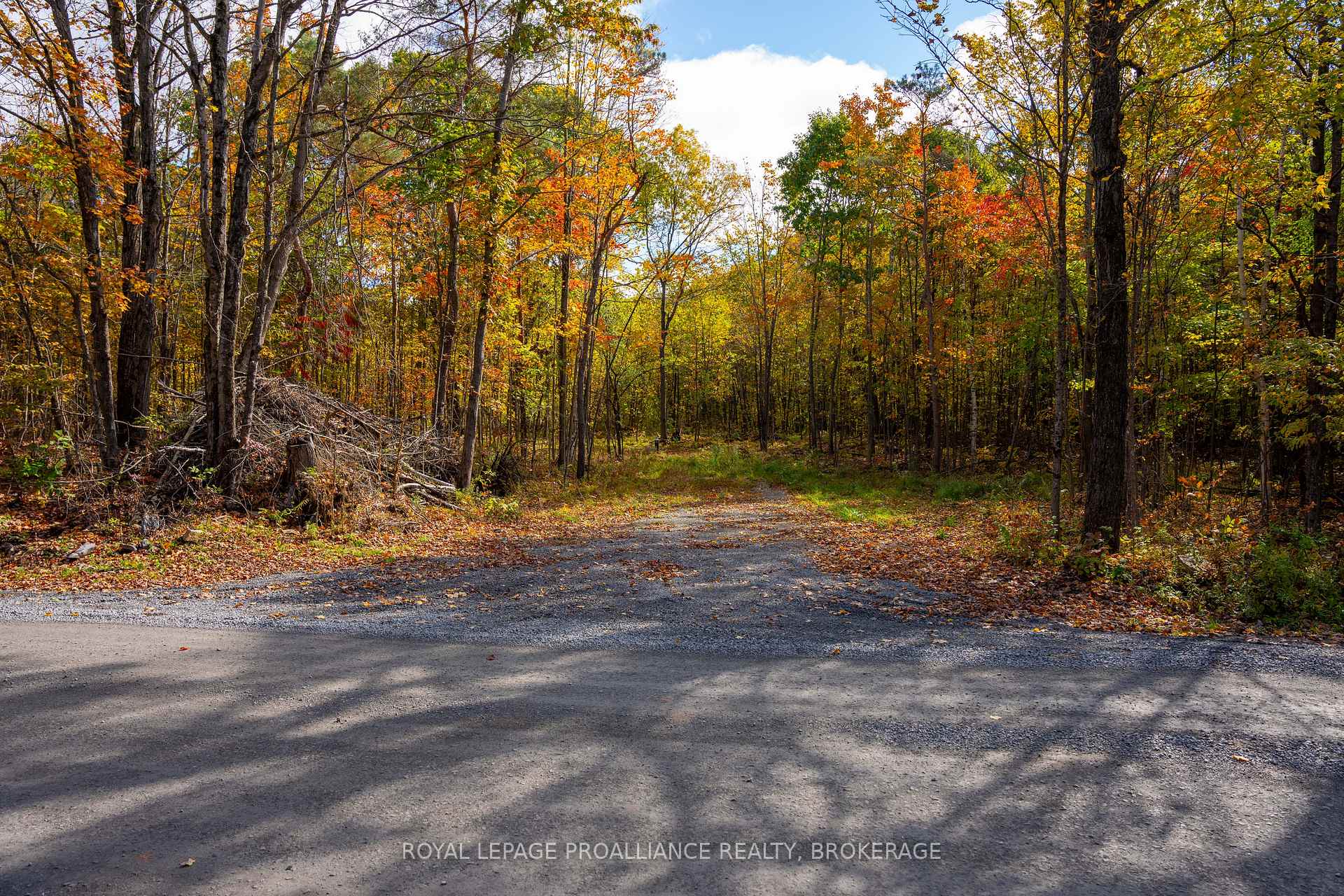 PT LTS 12 & 13 Devil Lake Road, South Frontenac, ON, exterior