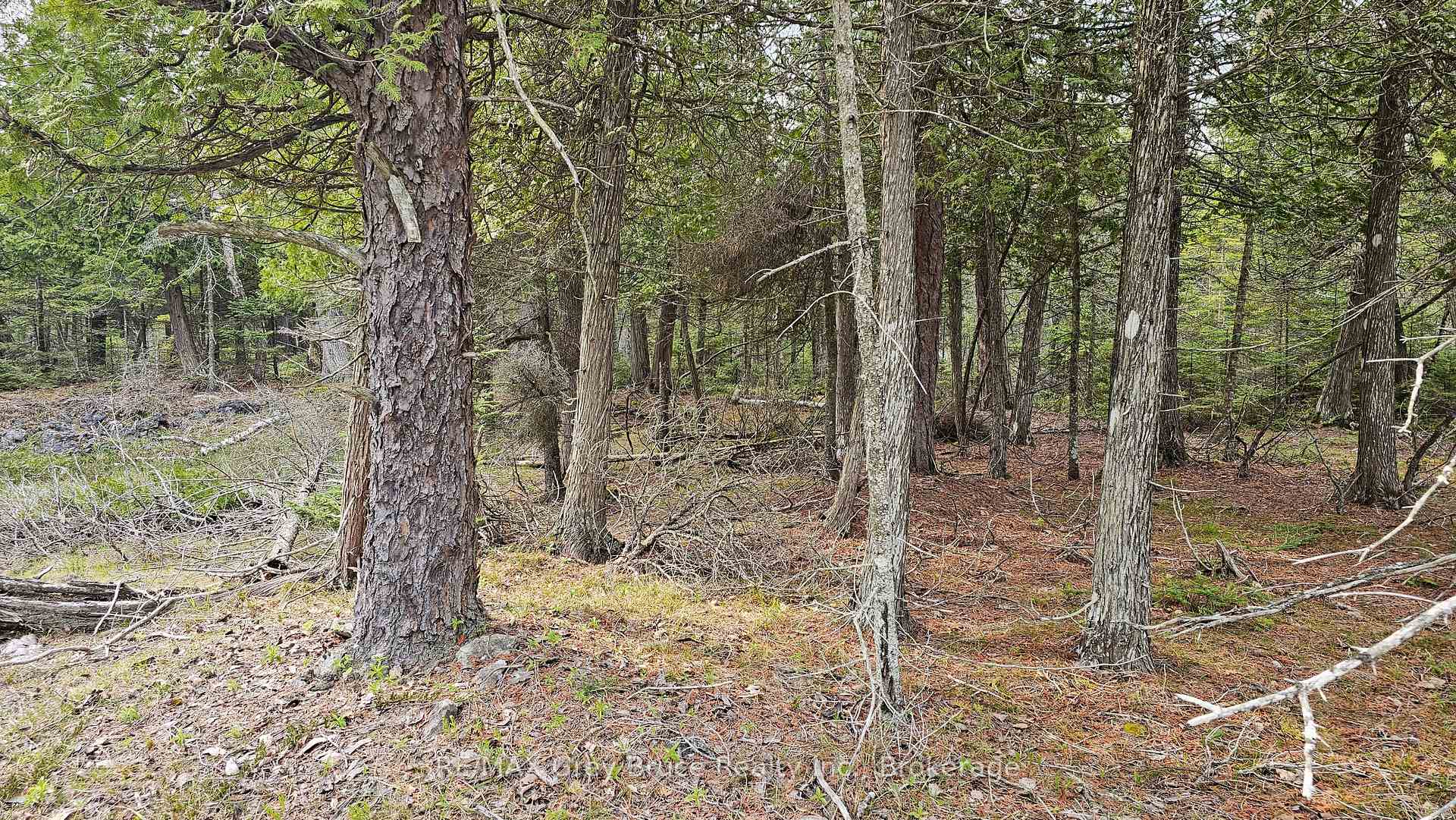 LT 255 Pedwell Pt. Drive, Northern Bruce Peninsula, ON, exterior