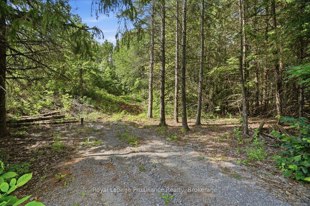 00 Otter Creek Road, Tweed, ON, exterior