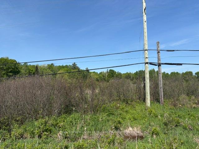 0 Allensville Road, Huntsville, ON, exterior