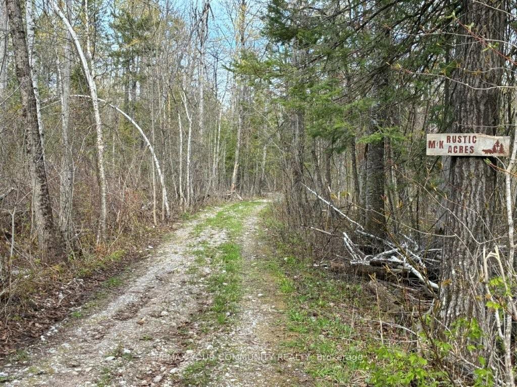 92 Bessie Avenue N, Trent Lakes, ON, exterior