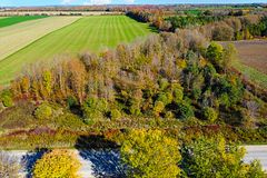 31313 Grey Road 14 Road, Southgate, ON, exterior