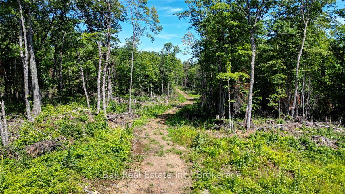 691 Bush Road, North Kawartha, ON, exterior