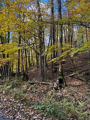 353C BALSAM CREEK Road, Parry Sound Remote Area, ON, exterior