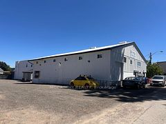 Rear - 124 Owen Sound Street, Shelburne, ON, exterior