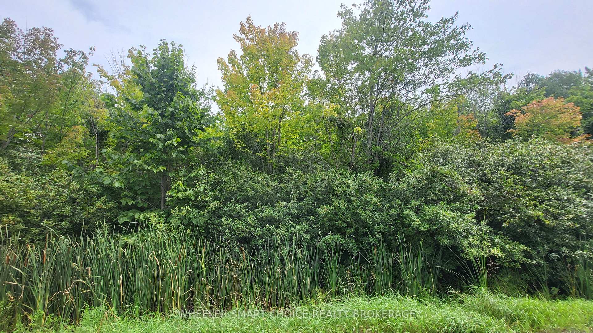 Lot 6 Tolmies Corners Road, North Stormont, ON, exterior
