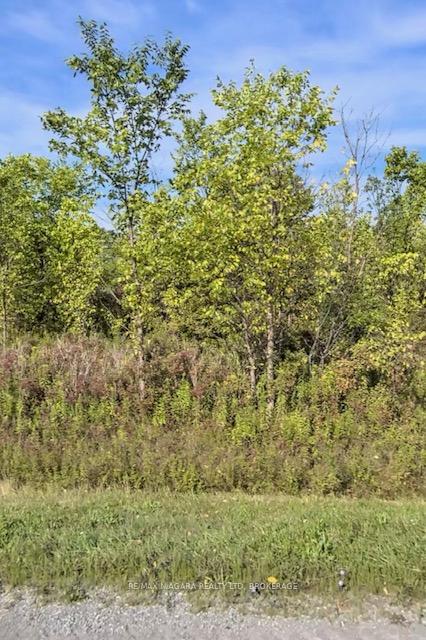 Lot 2 Montrose Road, Niagara Falls, ON, exterior