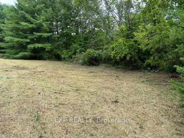 Lot 5 & 6 RP 18 Noonan Road, Alnwick/Haldimand, ON, exterior