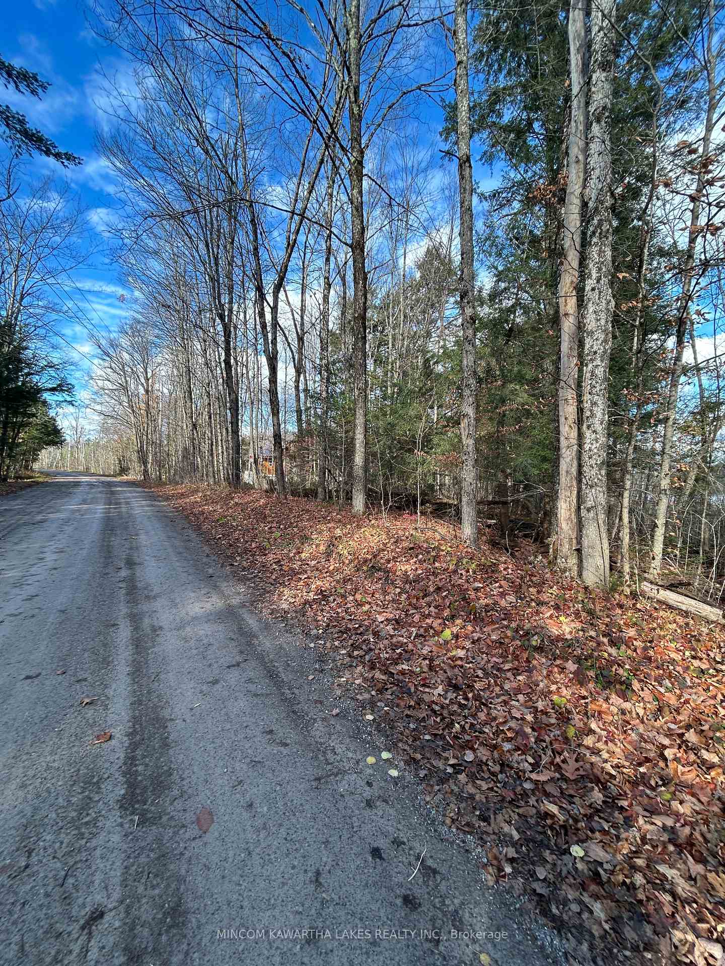 00 Mill Lake Road, North Kawartha, ON, exterior
