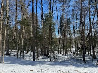 9 - Part 8 of Part of Lot 18 Concession, Lake of Bays, ON, exterior