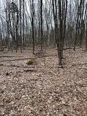 0 Providence Drive, Algonquin Highlands, ON, exterior