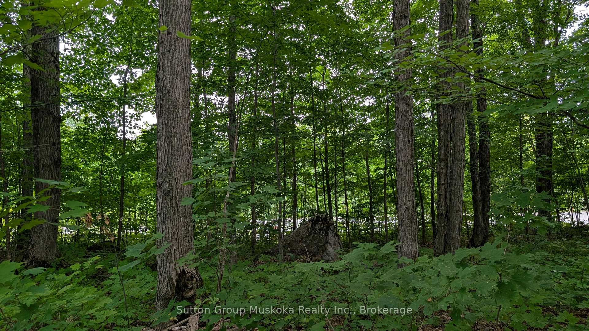 837 Aspdin Road, Huntsville, ON, exterior
