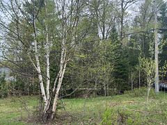 00 Highway 518 West Highway, McMurrich/Monteith, ON, exterior