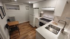 Lower - 203 Fern Avenue, Toronto W01, ON, exterior