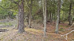 LT 255 Pedwell Pt. Drive, Northern Bruce Peninsula, ON, exterior