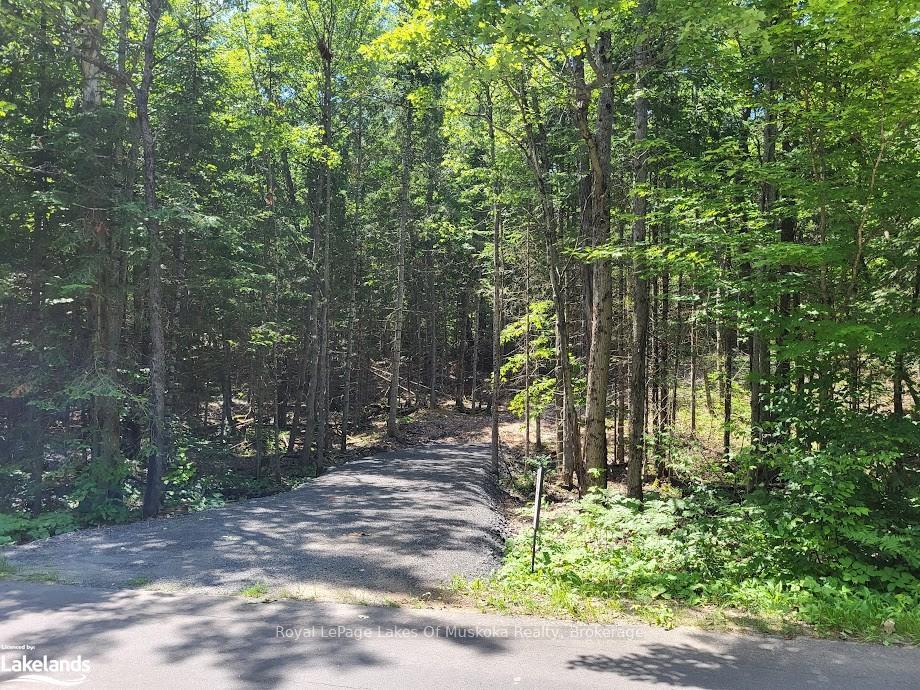 LOT 5 FAIRY FALLS Road, Lake of Bays, ON, exterior