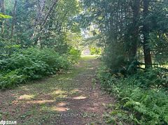 LOT 45 River Road, Kawartha Lakes, ON, exterior