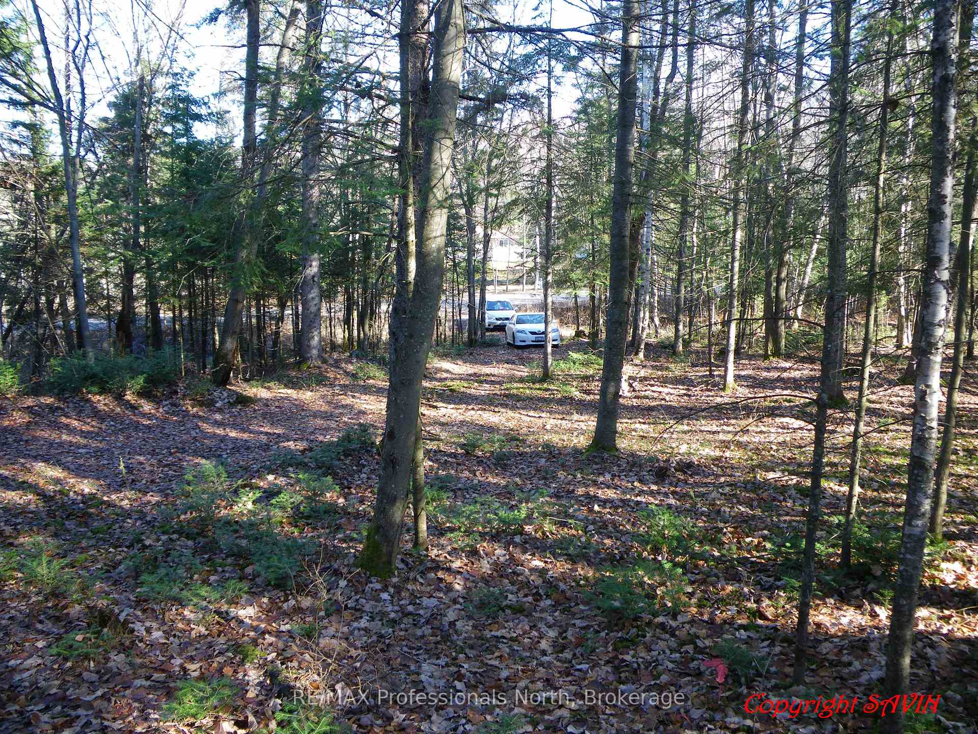 PCL 20438 & 29803 Upper Walker Lake Road, Lake of Bays, ON, exterior
