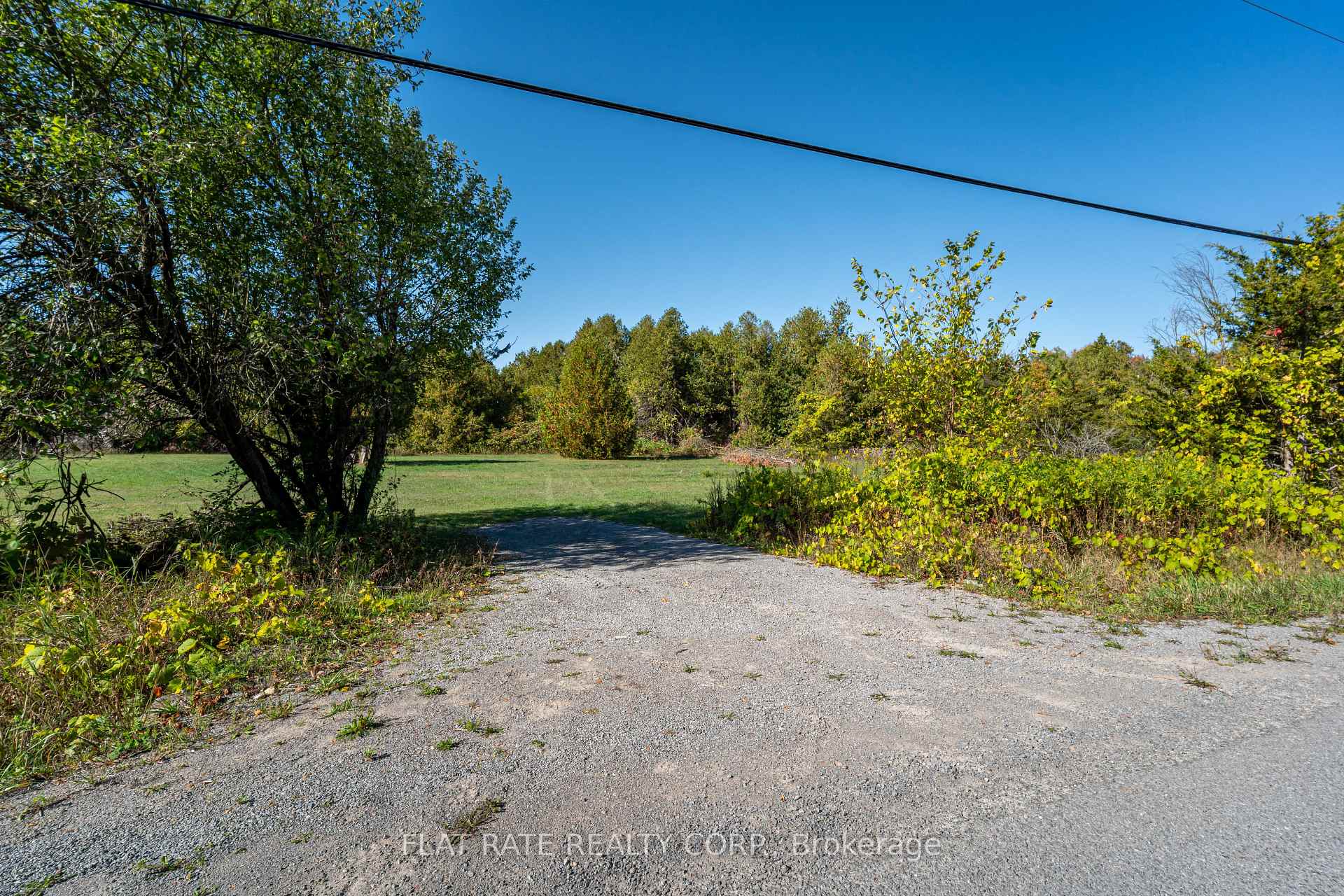 0 McCracken's Landing Road, Douro-Dummer, ON, exterior