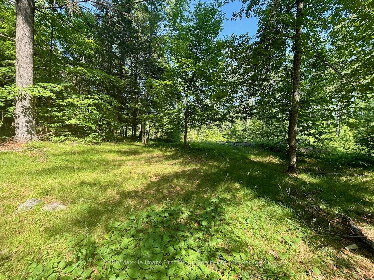 2495 Flinton Road, Addington Highlands, ON, exterior