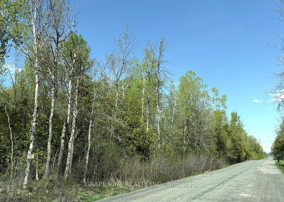 11865 (PtLt23) ARMSTRONG Road, North Dundas, ON, exterior