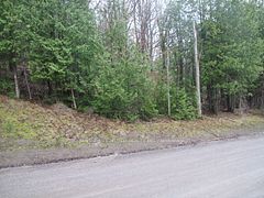 PTLT 37 TRENT VIEW Drive, Trent Hills, ON, exterior