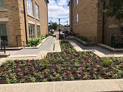 200 - 1A Conestoga Drive, Brampton, ON, exterior