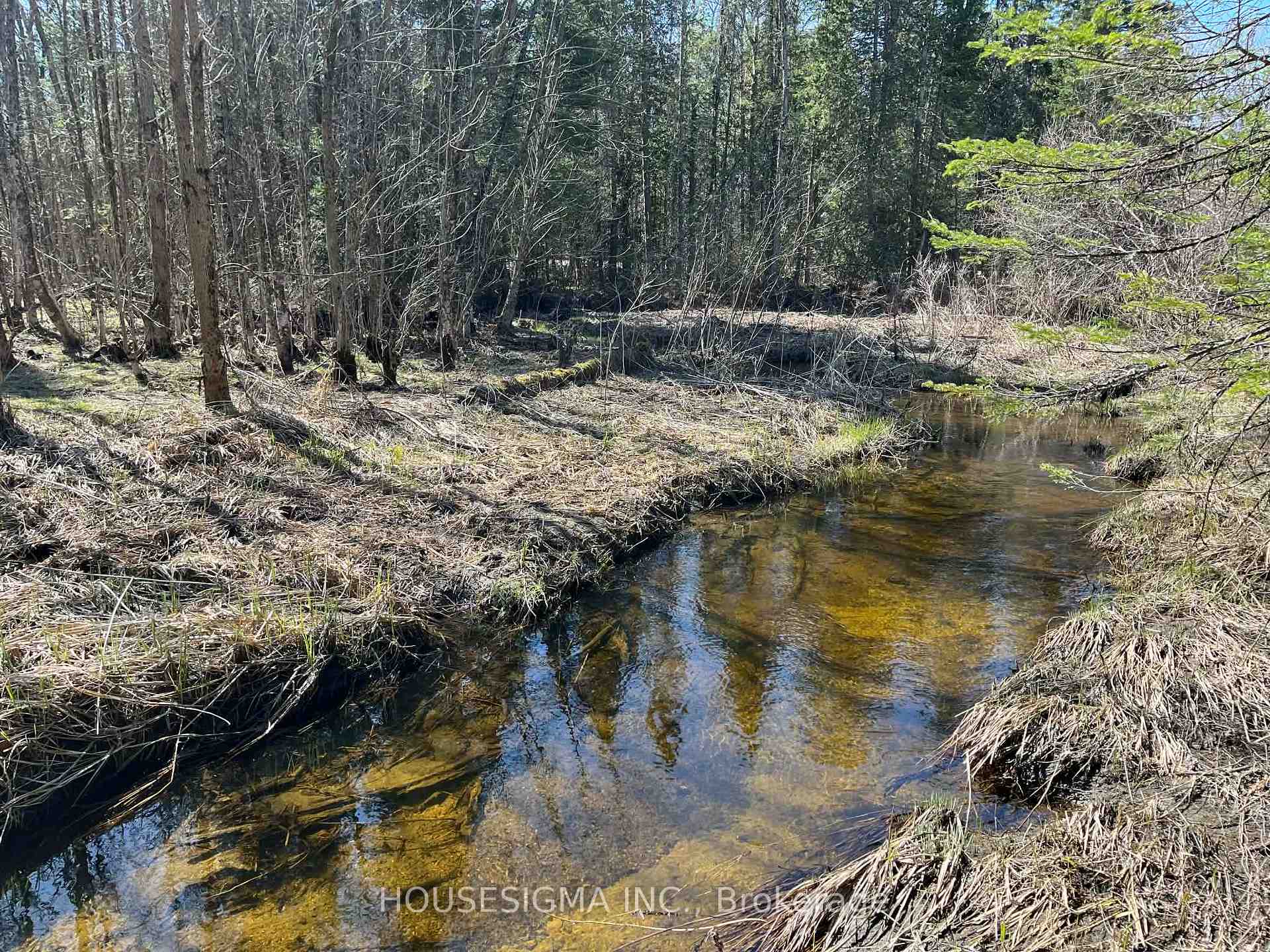 Con 14 PT Lot 17 Ward: 01 Buller Road, Kawartha Lakes, ON, exterior