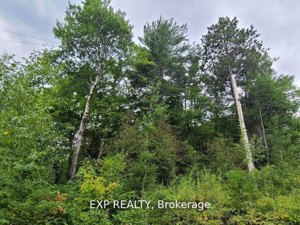 20 Peplinskie Homestead Road, Madawaska Valley, ON, exterior