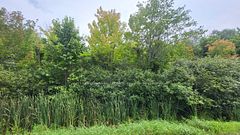 Lot 6 Tolmies Corners Road, North Stormont, ON, exterior
