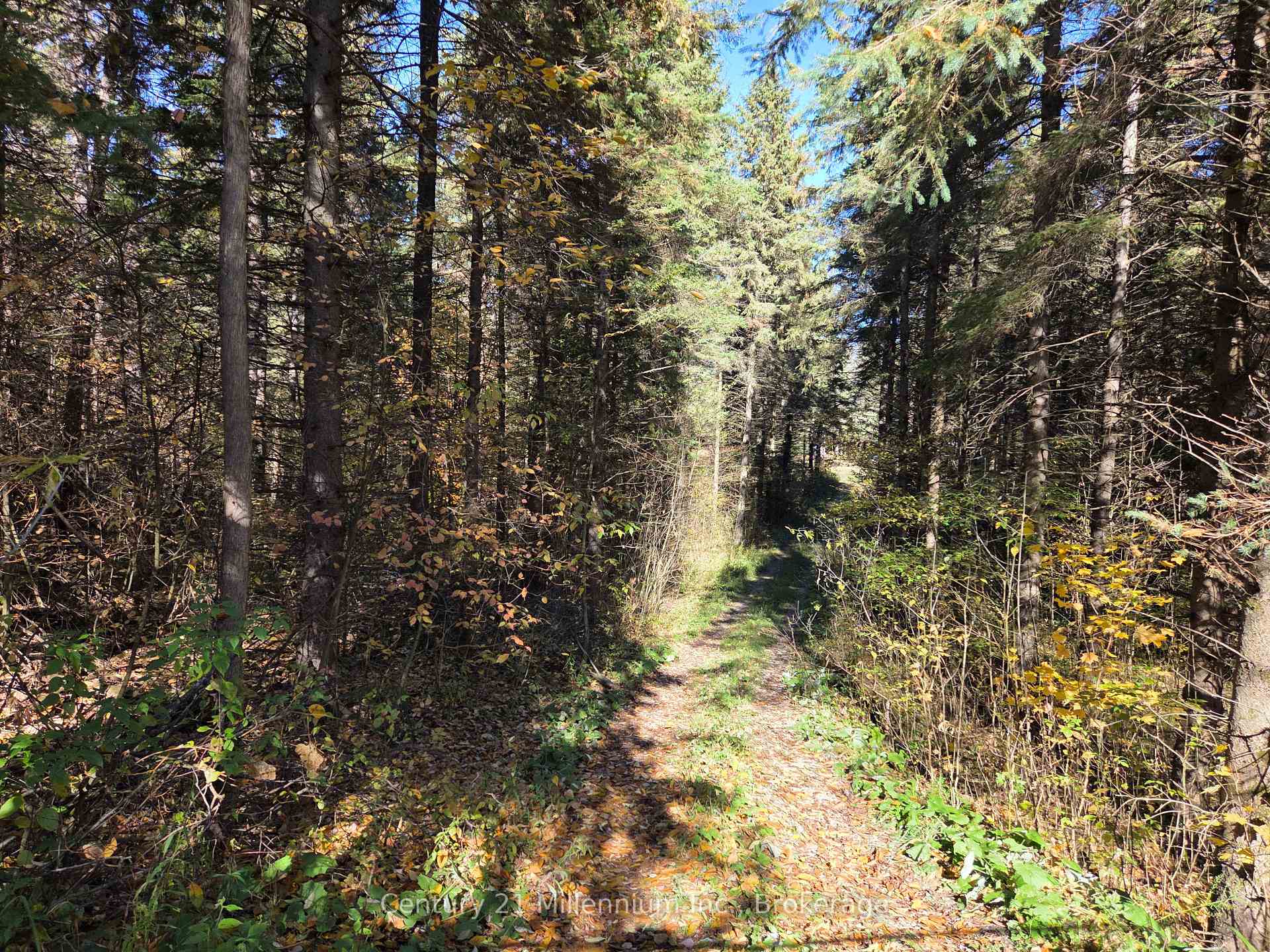 627383 15 Side Road, Mulmur, ON, exterior
