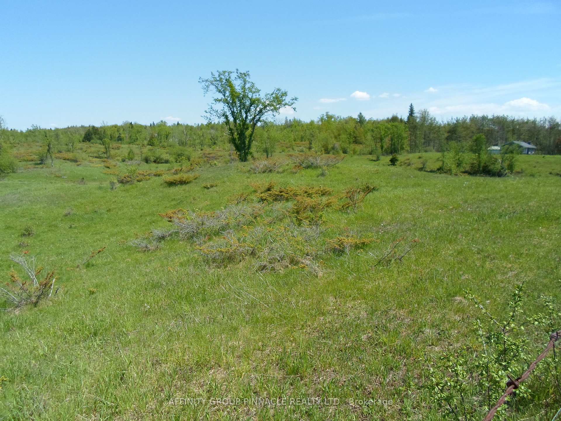 1178 County Rd 121 Road, Kawartha Lakes, ON, exterior