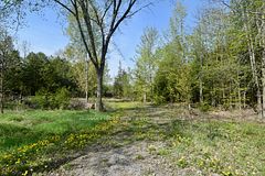 20 Ballantra Drive, Stone Mills, ON, exterior