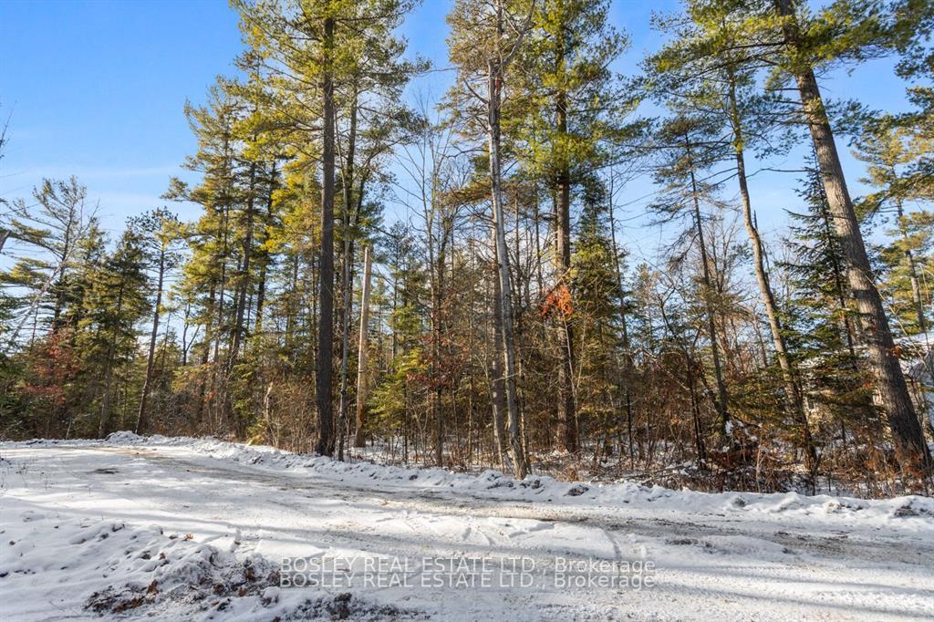 00 Pineview Court, Marmora and Lake, ON, exterior