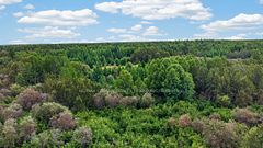 Lot 1 Conc 10 Concession, Cochrane Remote Area, ON, exterior