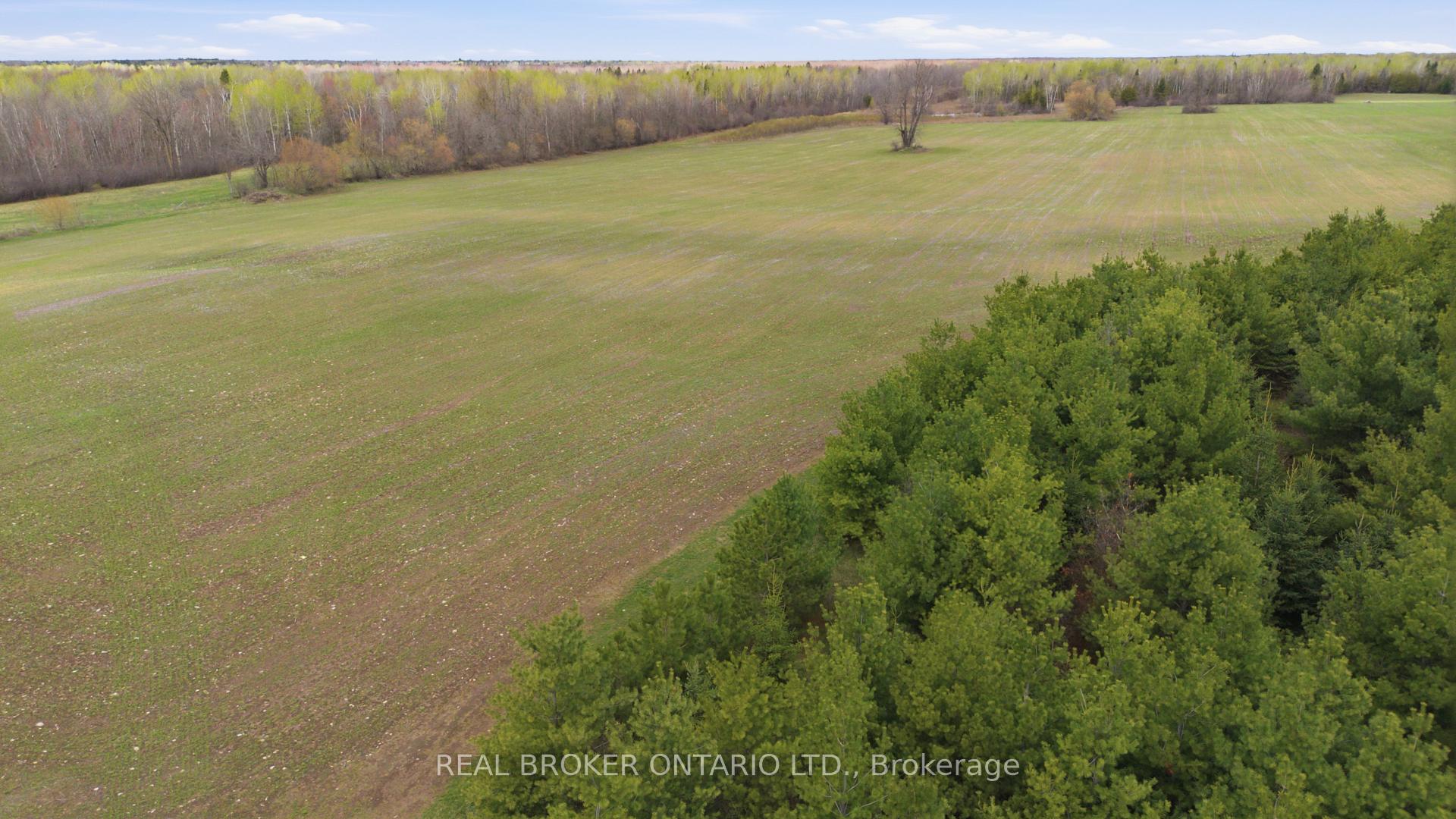 3115 PADEN Road, Manotick - Kars - Rideau Twp and Area, ON, exterior