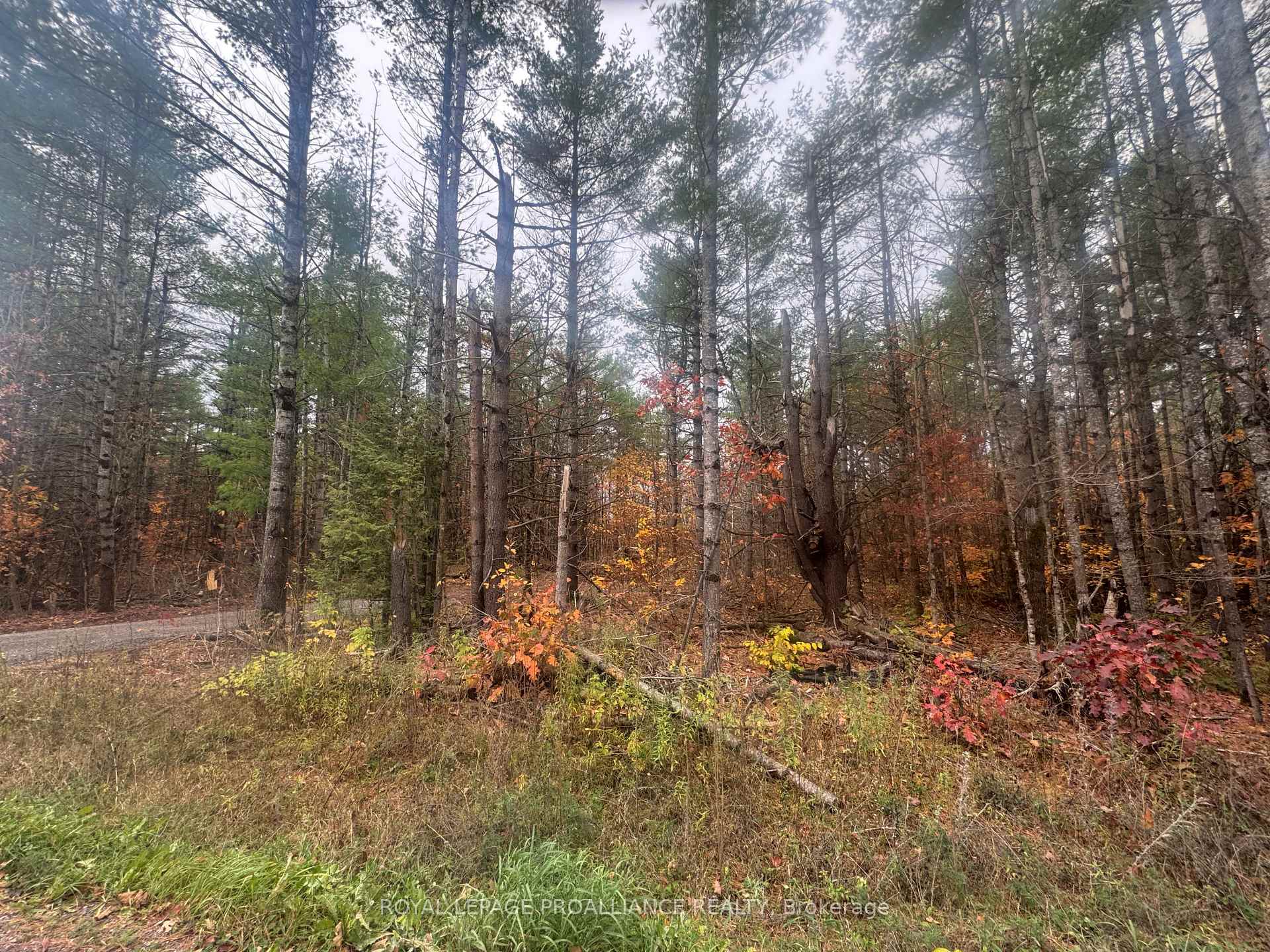 945 Shanick Road, Marmora and Lake, ON, exterior