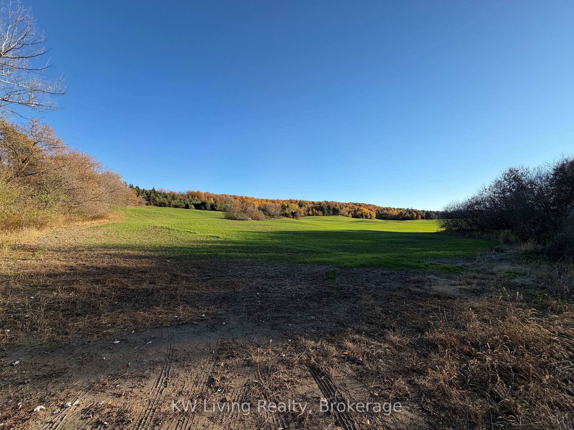 16724 Mount Wolfe Road, Caledon, ON, exterior