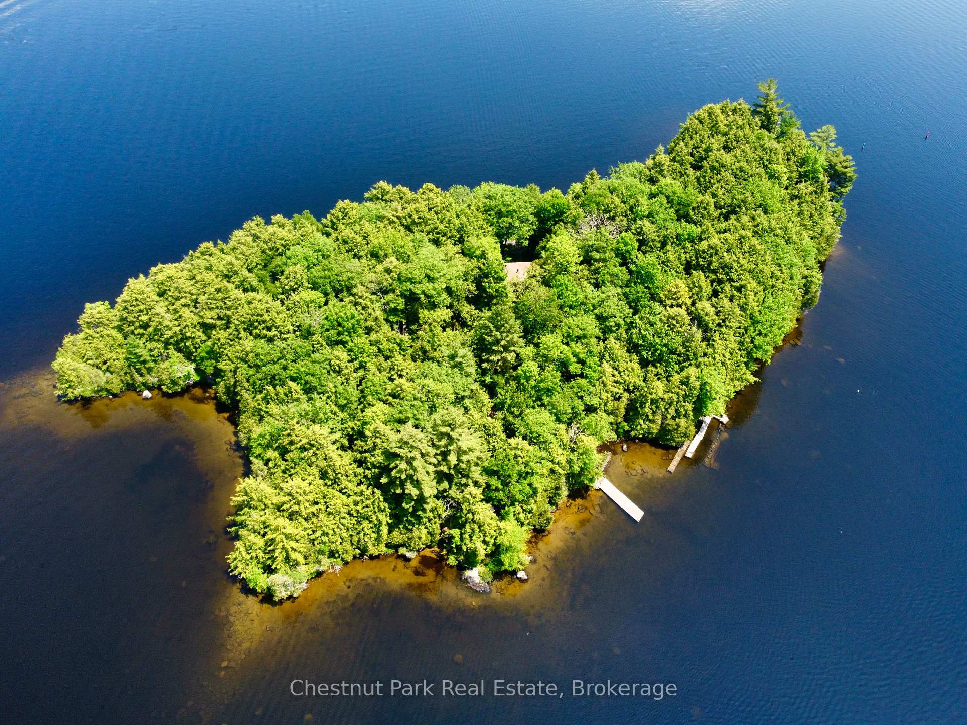 1 Cedar Island N/A, Muskoka Lakes, ON, exterior