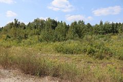 1010 Piper Glen Road, Minden Hills, ON, exterior