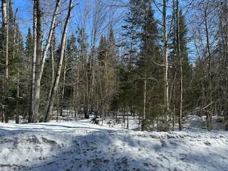 9 - Part 7 of Part of Lot 18 Concession, Lake of Bays, ON, exterior